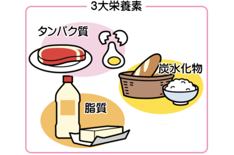 筋トレする女性